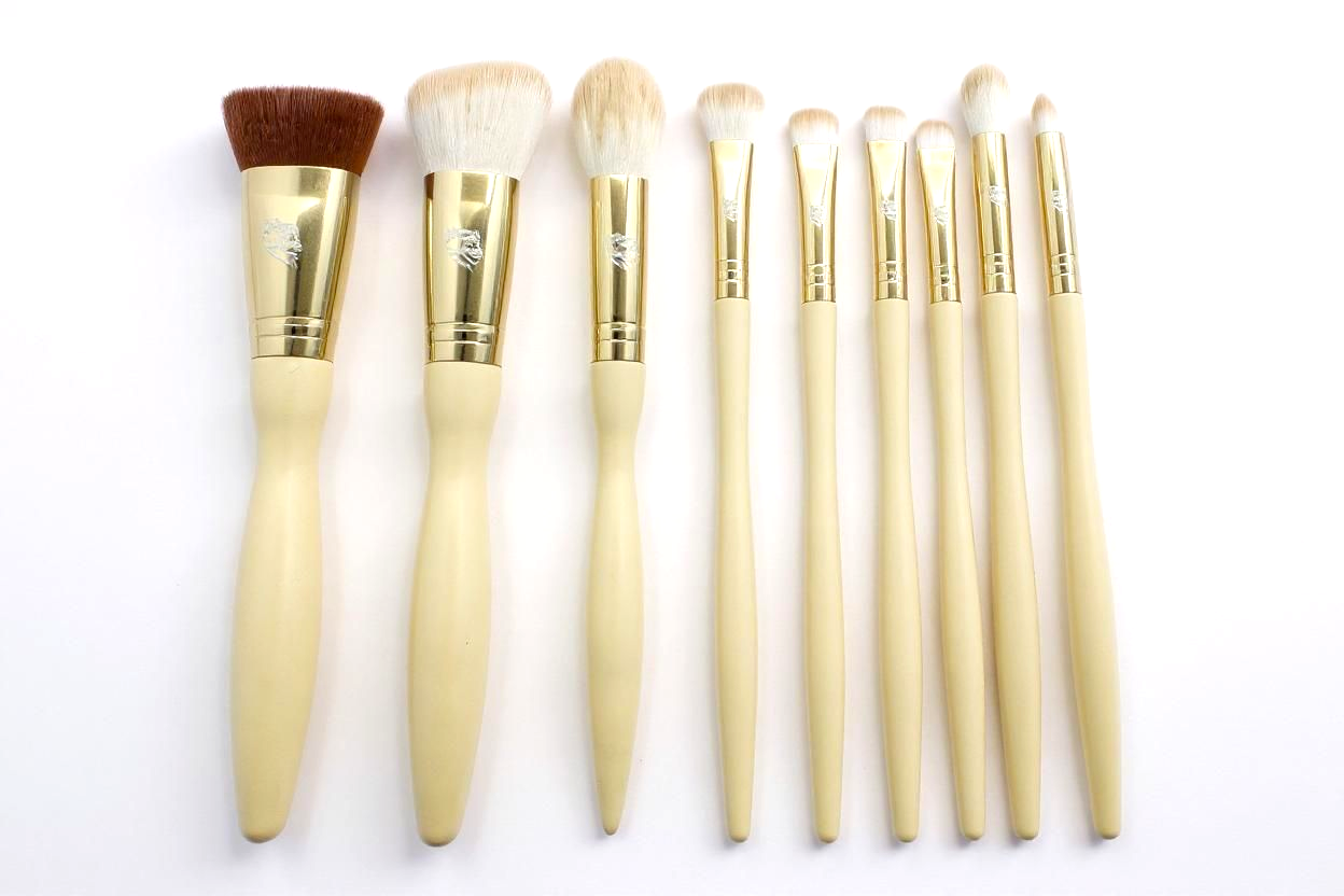 Premium 9-Piece Makeup Brush Set for Face & Eyes with Portable Case
