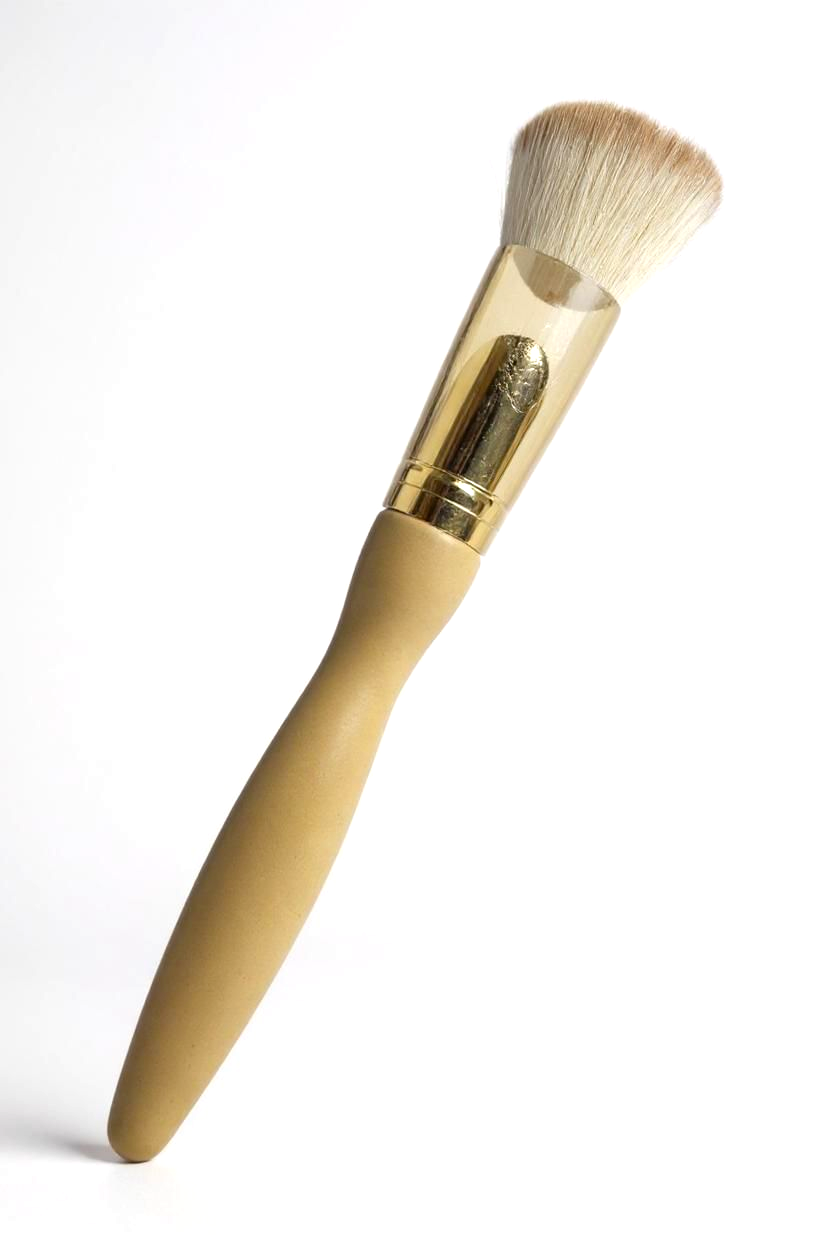 Premium 9-Piece Makeup Brush Set for Face & Eyes with Portable Case